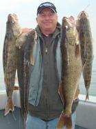 Captain Walt shows off 4 typical Lake Erie Walleyes